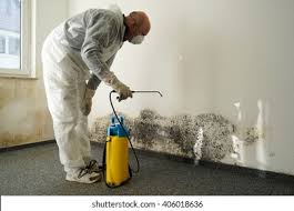 Trusted One Loudoun, VA Mold Removal Experts